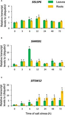 A SNARE-like protein from Solanum lycopersicum increases salt tolerance by modulating vesicular trafficking in tomato